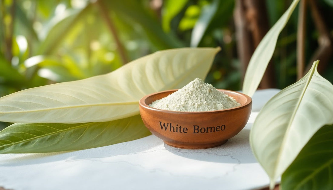 Is White Borneo Kratom Right for You? A Beginner-Friendly Breakdown - My Store